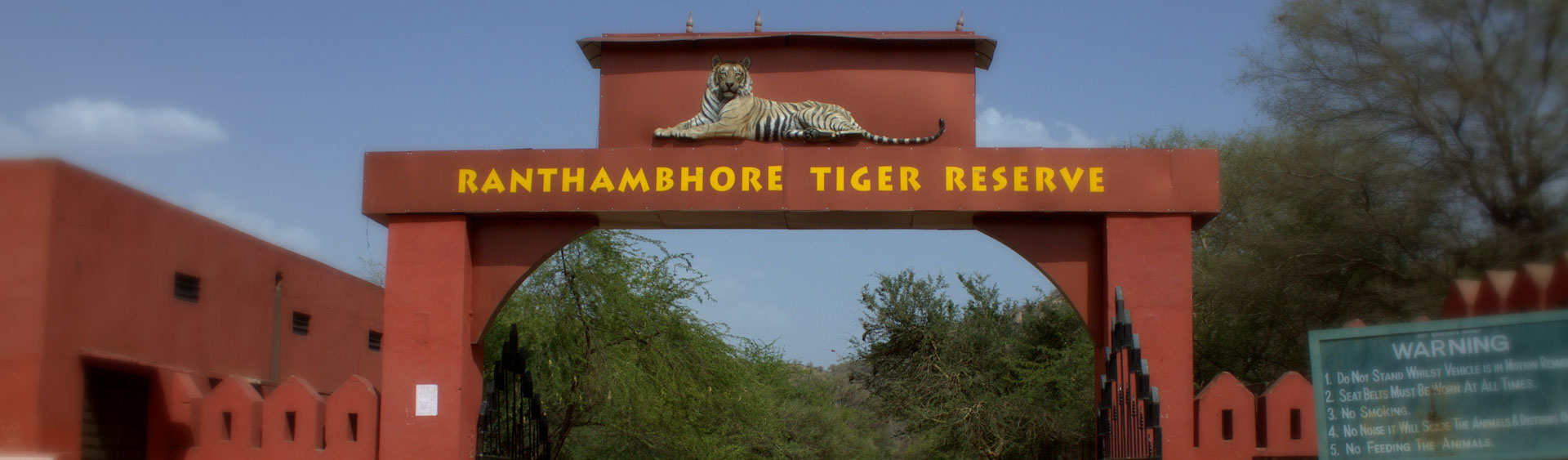 Animals in Ranthambore National Park | Wild Animals Conservation in Ranthambore  National Park | Wild Dogs in Ranthambore